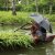 Alleppey backwaters kerala